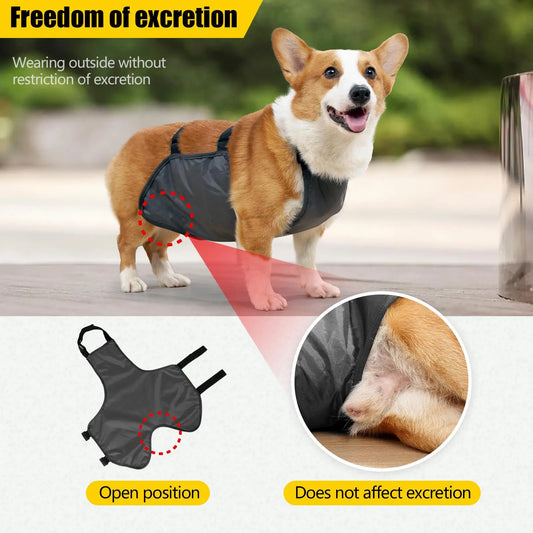 Polyester Dog Belly Band Breathable Dog Cloth Anti-Dirty Waterproof Belly